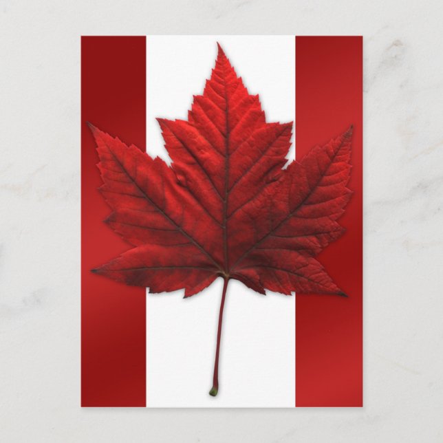 Cartes postales du drapeau du Canada Cartes postal (Devant)