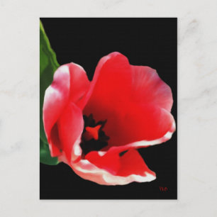 Cartes postales du jardin