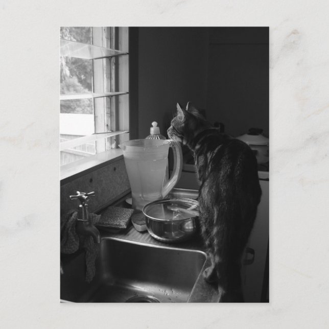 Cartes postales du lavabo de cuisine (Devant)