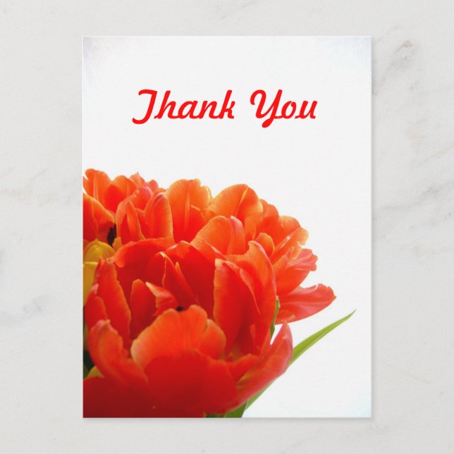 Cartes postales en Merci de Tulipes orange (Devant)