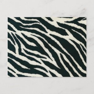 Cartes postales en noir et blanc Zebra