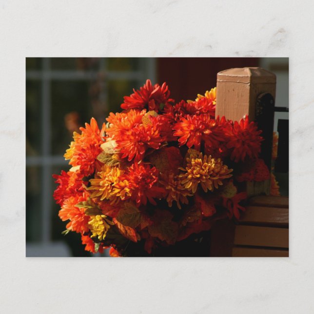 CARTES POSTALES FLEURS DE CHUTE (Devant)