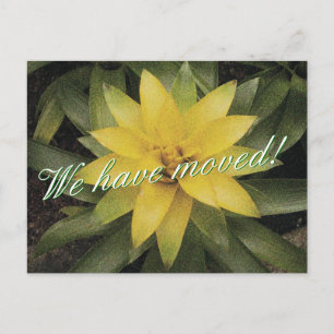 Cartes postales florales en mouvement avec fleur j