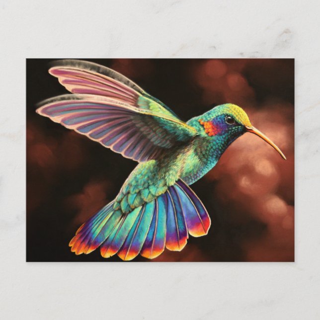 Cartes postales Humminbird 2 (Devant)