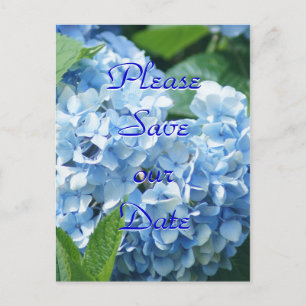 Cartes postales Hydrangeas Bleus Sauvez notre date