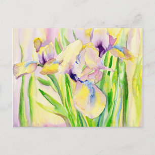 Cartes postales Iris en pain d'épices