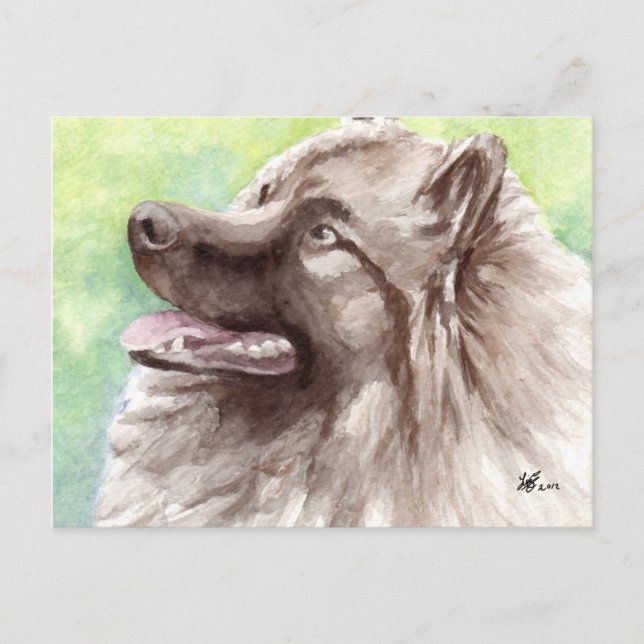 Cartes postales Keeshond (Devant)