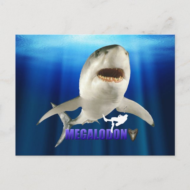 Cartes postales Megalodon (Devant)