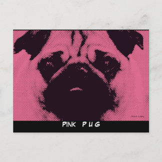 Cartes postales modèle, chien Carlin rose