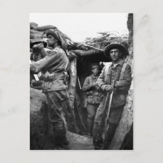 Cartes postales montrant des Diggers à Gallipoli