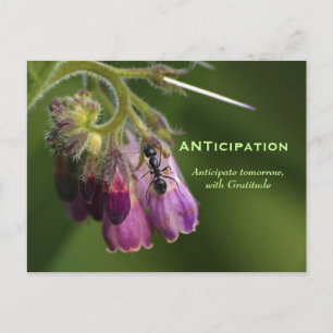 Cartes postales motivantes pour la culture et la c