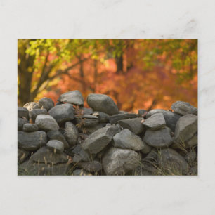CARTES POSTALES MUR EN PIERRE