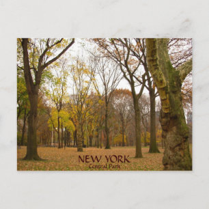 Cartes postales New York NYC Central Park