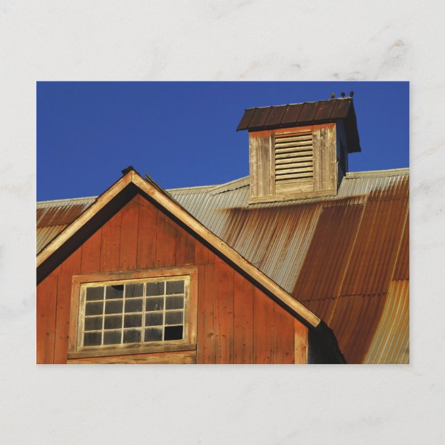 CARTES POSTALES NORTH HERO VERMONT (Devant)