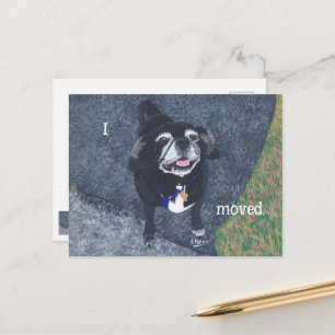 Cartes postales nouvelle adresse pour chien Pug