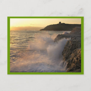 CARTES POSTALES OCEAN SPRAY