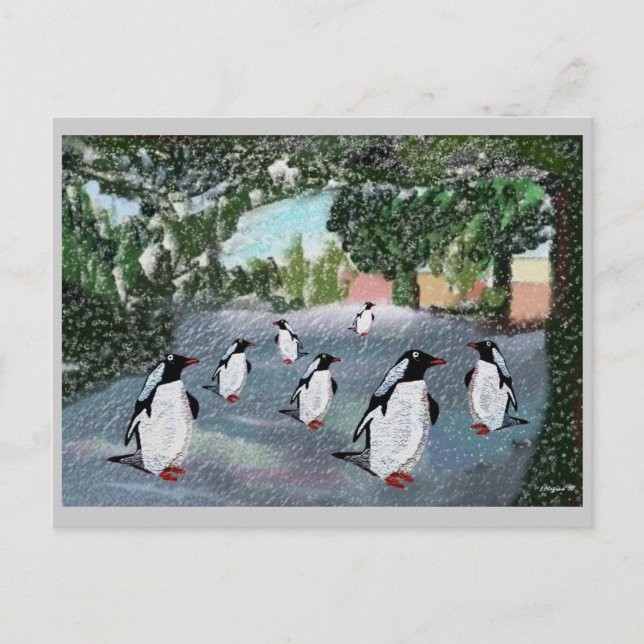 Cartes postales Penguin Winterwonland (Devant)