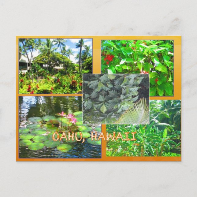CARTES POSTALES PERSONNALISÉES - COLLAGE HAWAII# 1 (Devant)