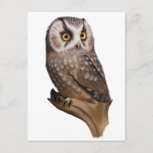 Cartes postales Portrait de hibou