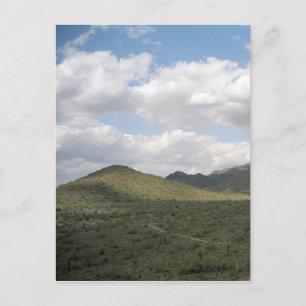 Cartes postales pour la photo du désert de Cowboy