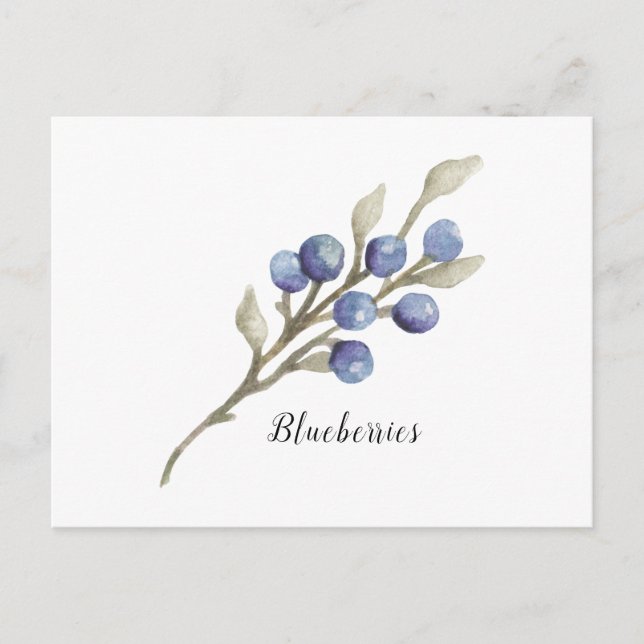 Cartes postales pour les bleuets de la branche (Devant)