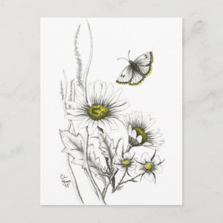 Cartes postales pour marguerites et papillons