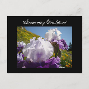 Cartes postales Préserver les Traditions ! Iris Fl