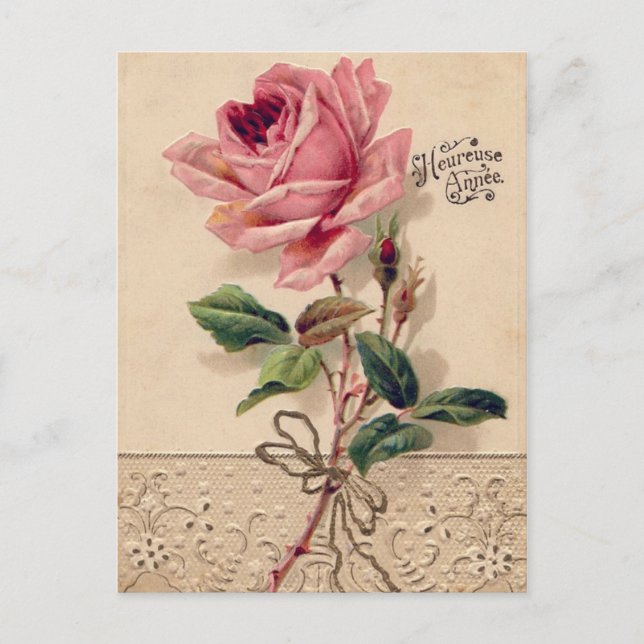 Cartes postales Rose vintage (Devant)