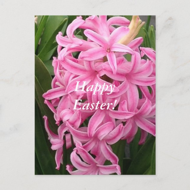 Cartes postales roses heureuses de fleur de (Devant)