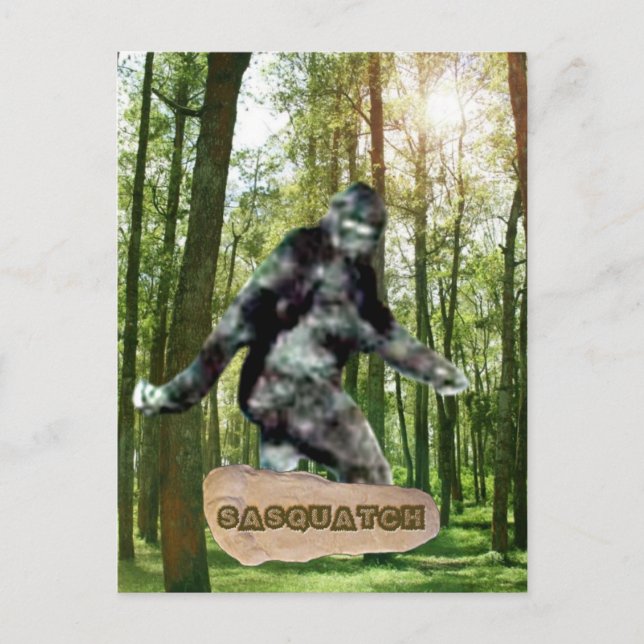 Cartes postales Sasquatch (Devant)
