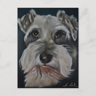 Cartes postales Schnauzer