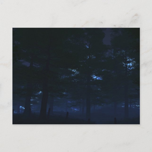 Cartes postales secrètes de la nature (Devant)