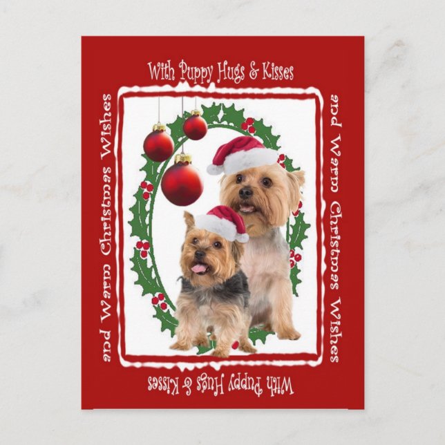 Cartes postales Silky Terrier pour Noël (Devant)