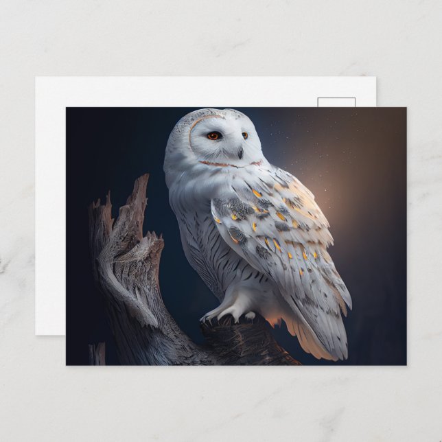 Cartes Postales snowy owl (Devant / Derrière)