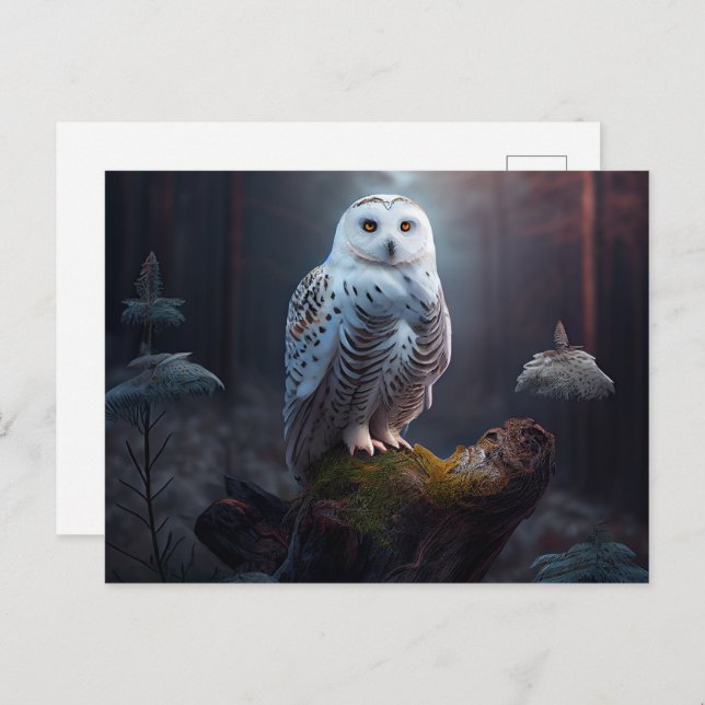 Cartes Postales snowy owl Postcard (Front/Back)