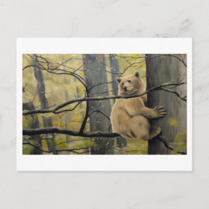Cartes postales Spirit Bear Kermode Bear Cartes po
