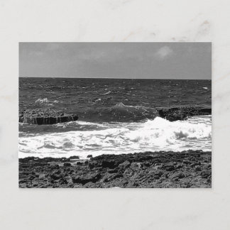 Cartes postales standard noir et blanc pour l'expé