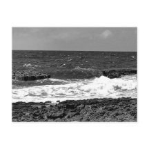 Cartes postales standard noir et blanc pour l'expé