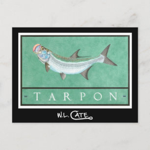 Cartes postales Tarpon