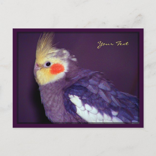 Cartes postales Tiel (Devant)