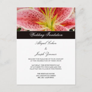 Cartes postales Tiger Lilly