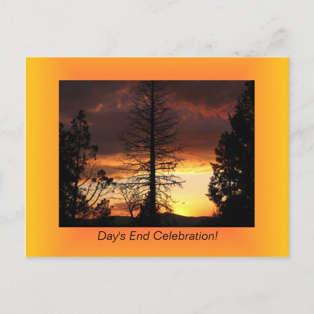 Cartes postales Tree Silhoutte Sunset (Devant)