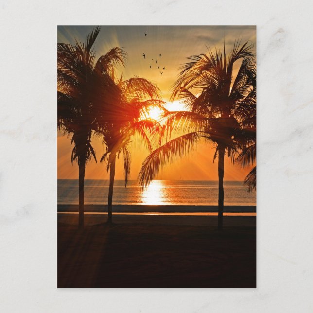CARTES POSTALES TROPICAL BEACH SUNSET (Devant)