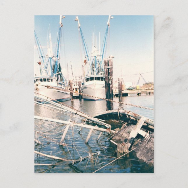 Cartes postales Venice Marina (Devant)