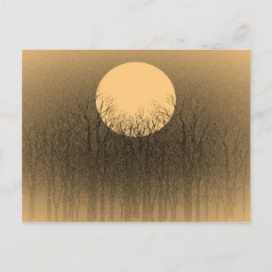 Cartes postales vintage Sunset
