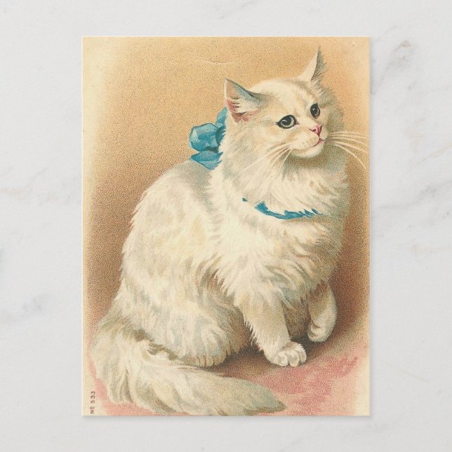 cartes postales vintages (Devant)