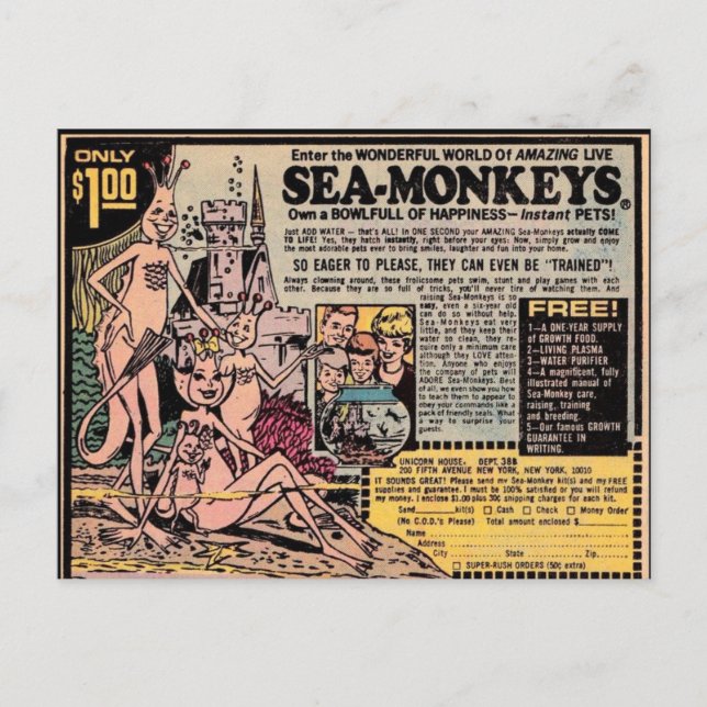 Cartes postales VINTAGES SEA-MONKEY (Devant)