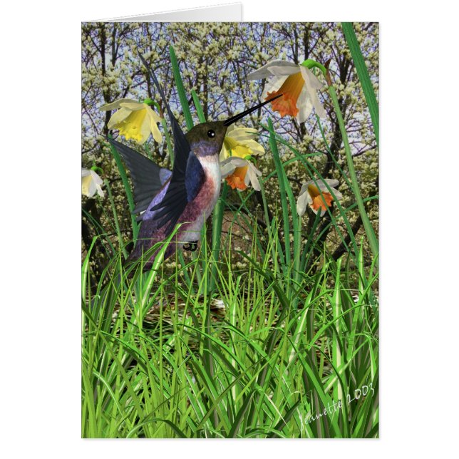 Cartes pour colibris de printemps (Devant)