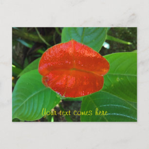 CARTES POUR FÊTES ANNUELLES