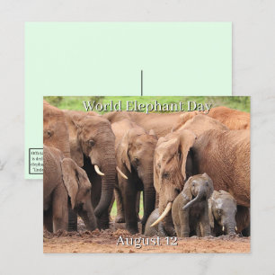 Cartes Pour Fêtes Annuelles 12 août - Journée mondiale des éléphants